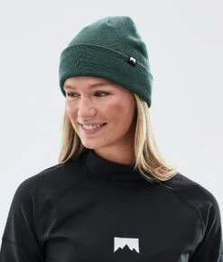 Echo Beanie Dark Atlantic